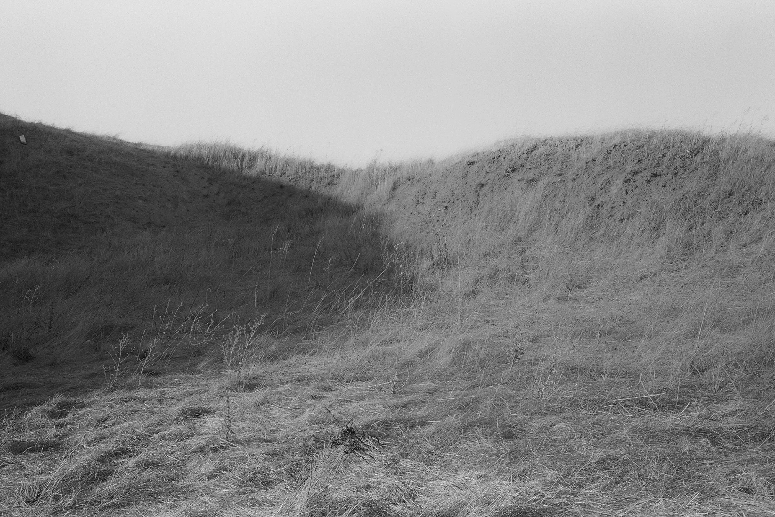 10. Bernal Hill, 2025.jpg