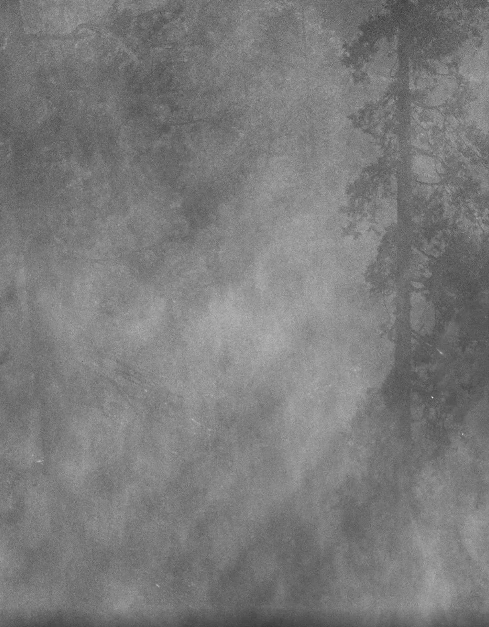 Robel Fessehatzion - Introspective Yosemite no.4.jpg