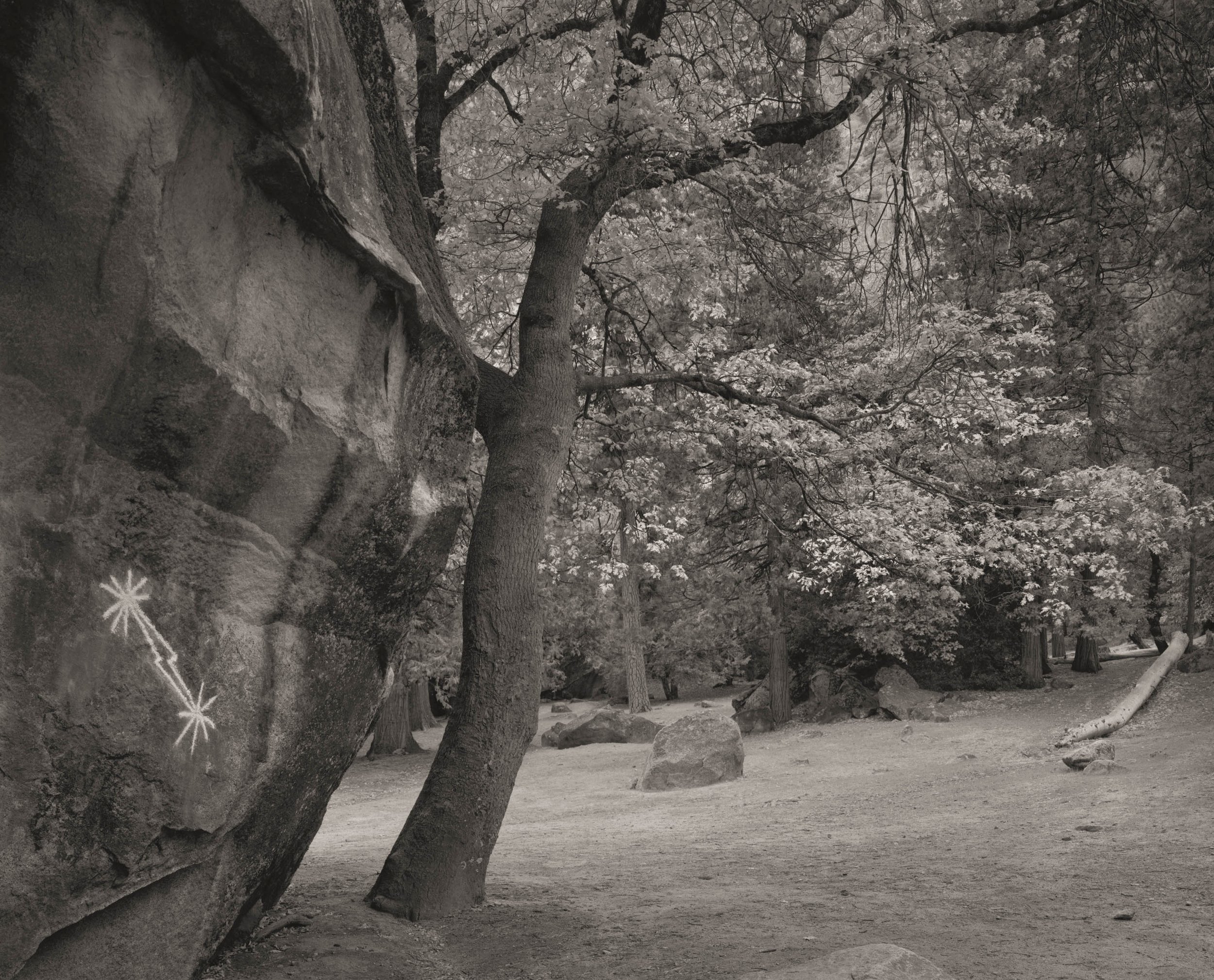 Mark Citret - Midnight Lightning, Legendary Camp 4, 2016