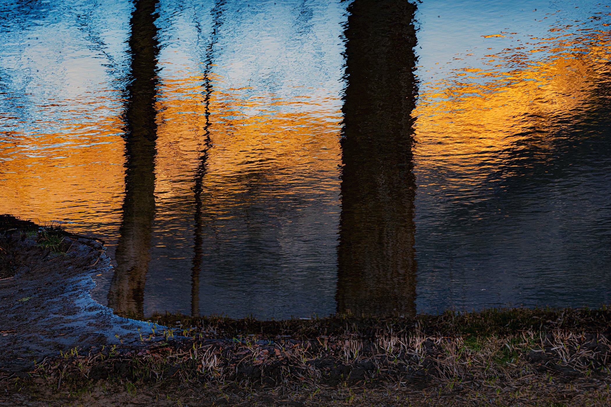 Andrew Faulkner, Autumn Afterglow, Merced River, 2021