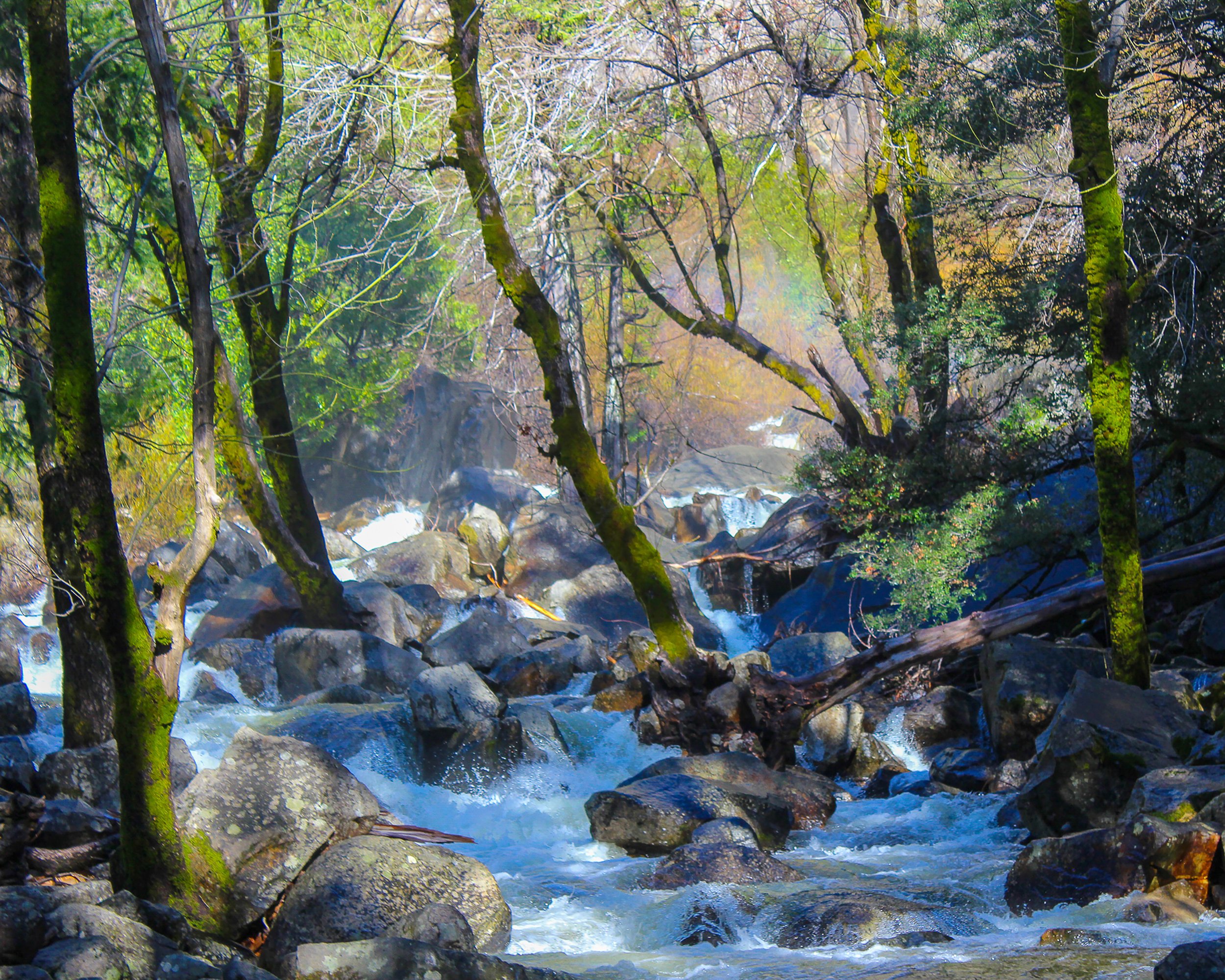 Dina Kharag, On the Walk to Bridalveil Falls, 2018