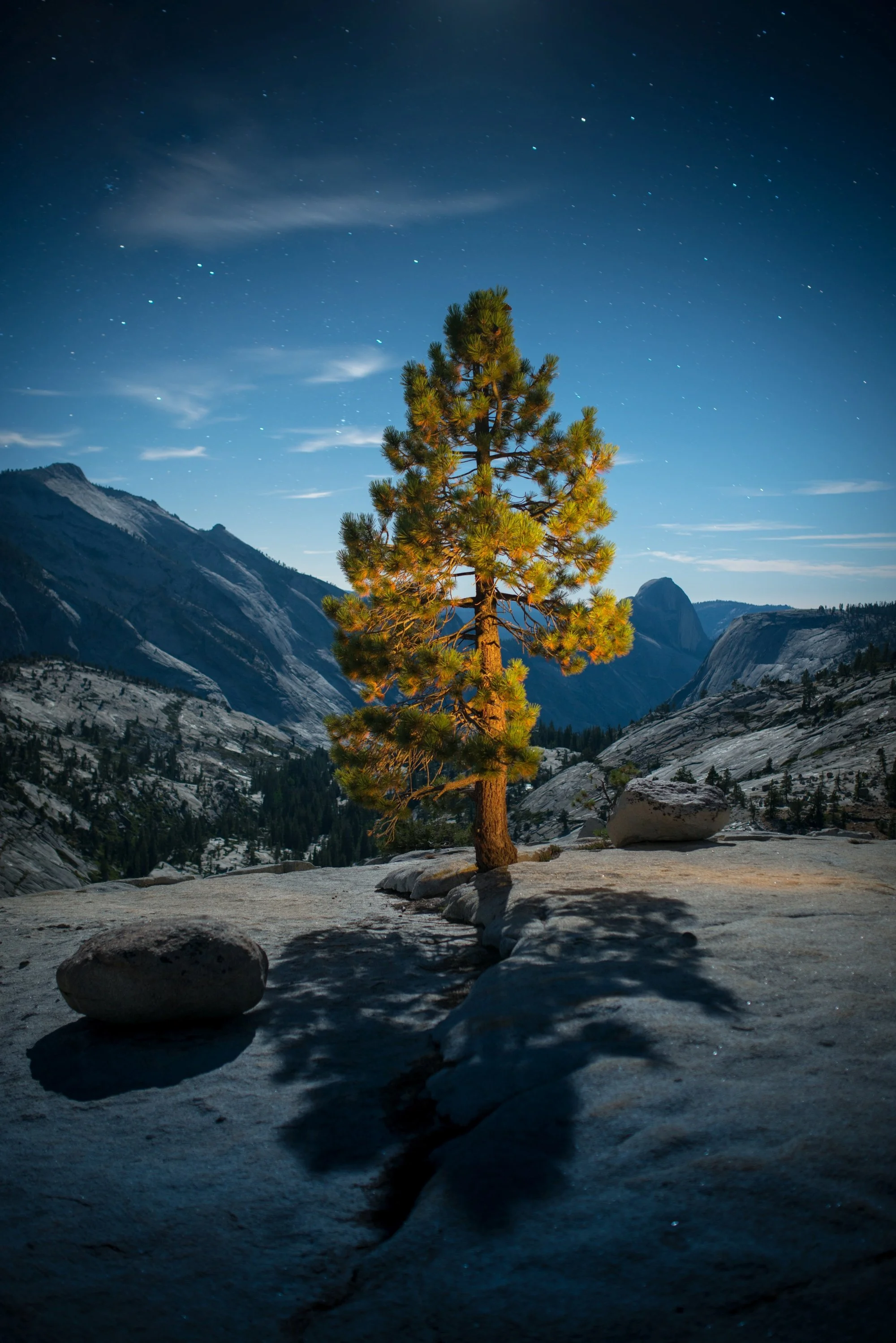 Greta and Manu Schnetzler, Silent Witness, 2013