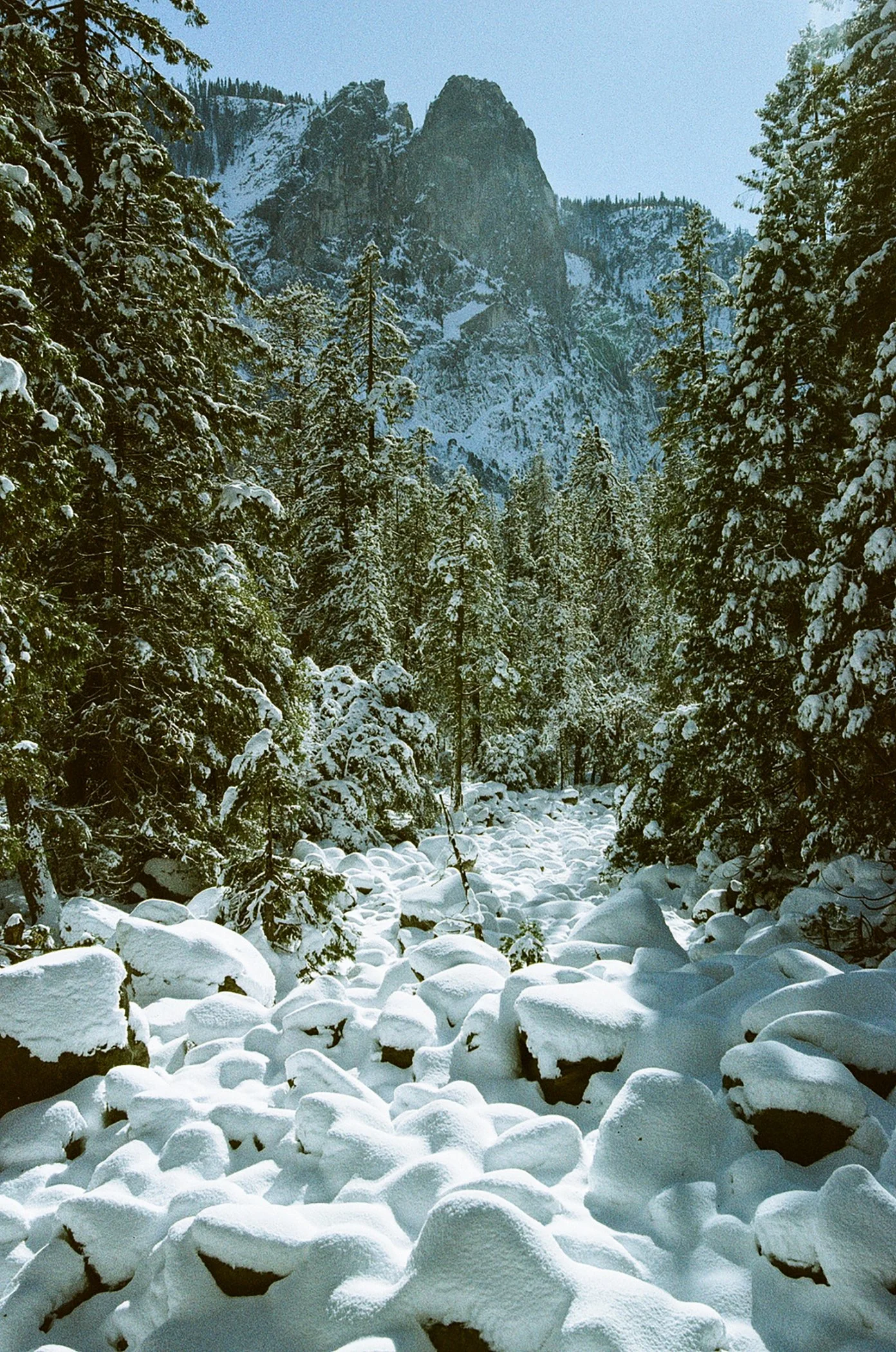 Memo Stone, Yosemite on white, 2024