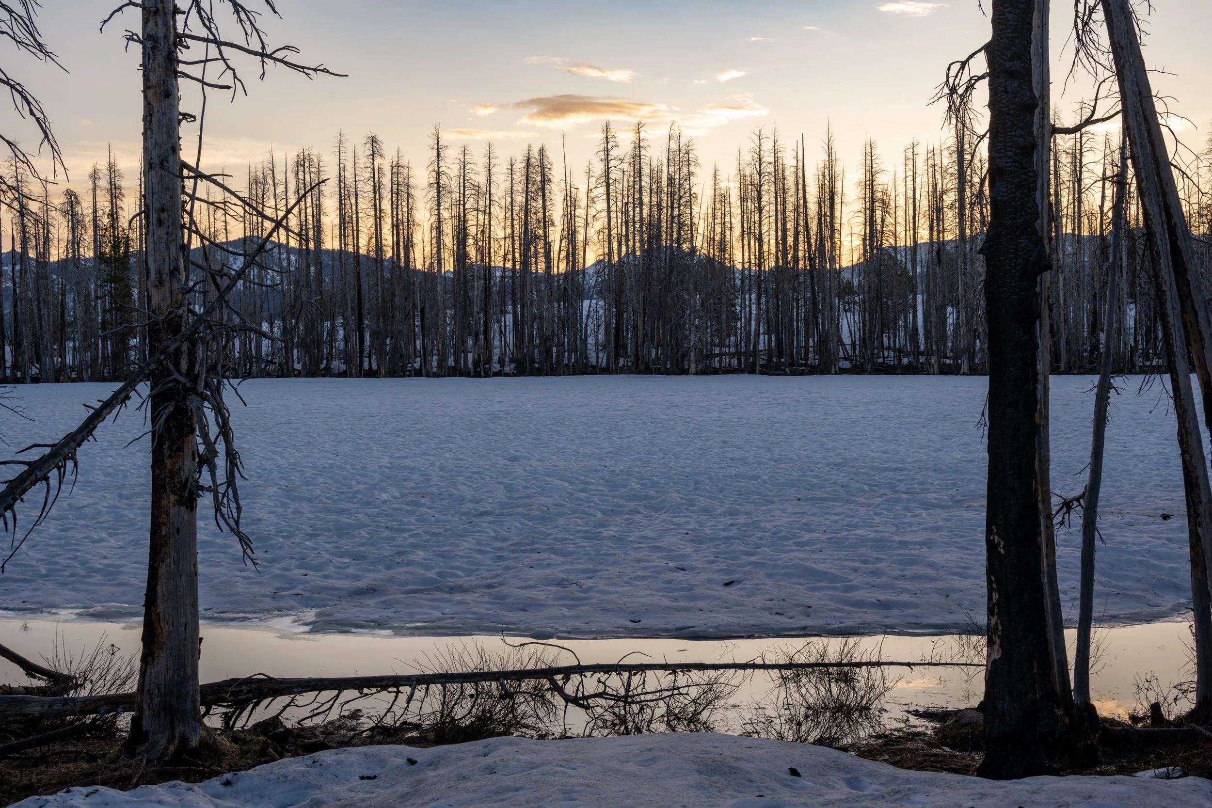 Mike Mullen, Starr King Lake - May 21, 2023, 2023