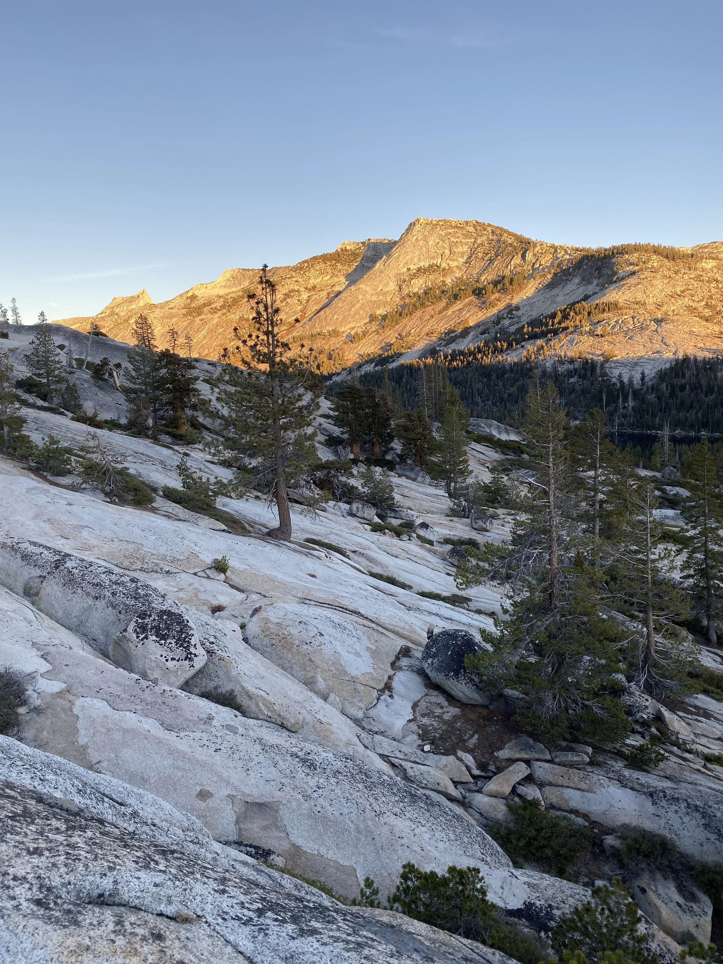 Rebecca Taggart, Sunset on Tenaya Peak, 2024