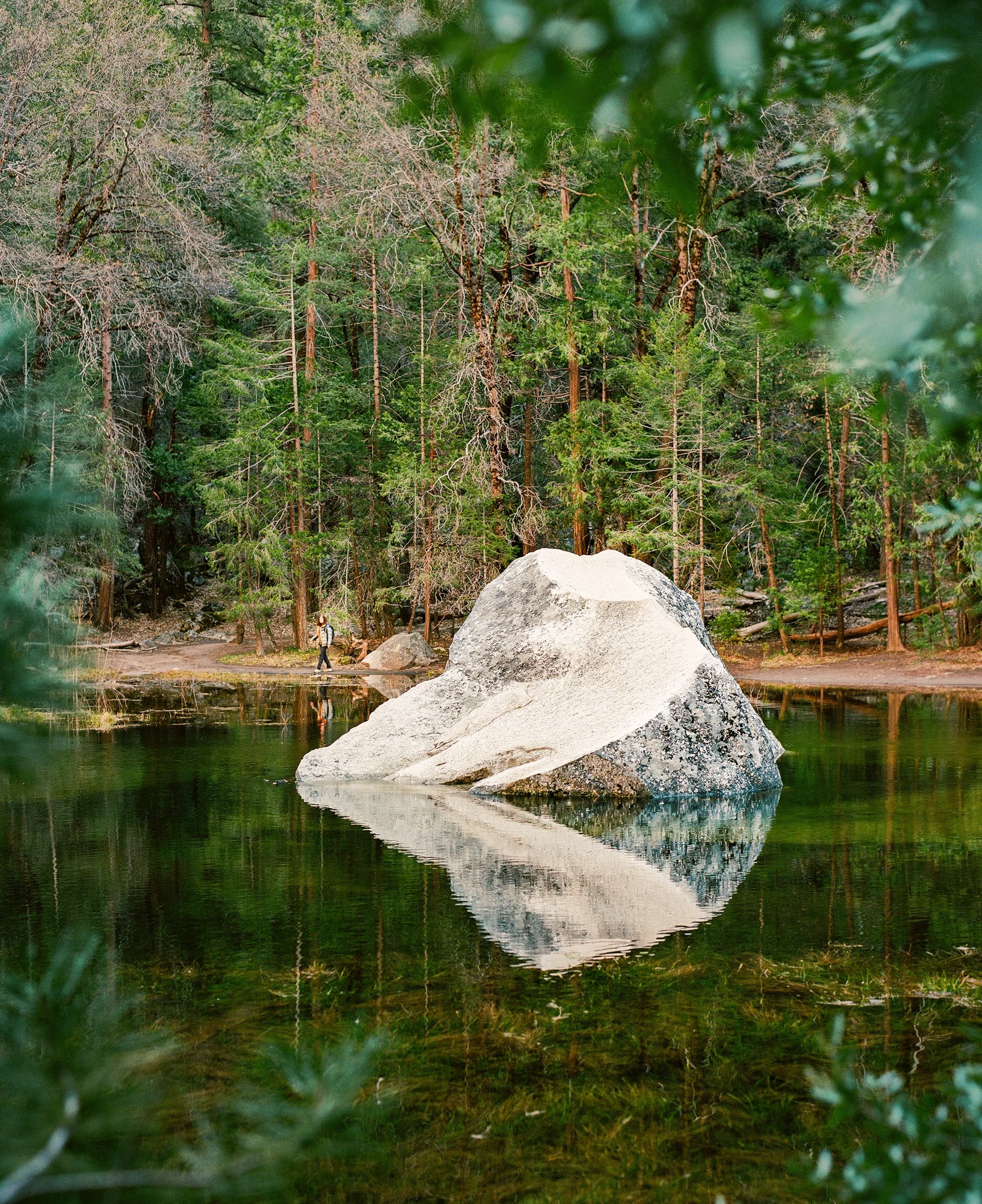 Renee Wall, Rock in Solitude, 2024