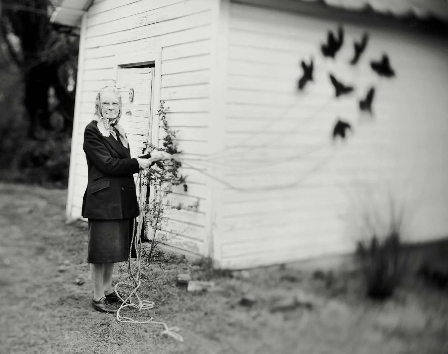 Elijah Gowin, Bird Woman, 1999