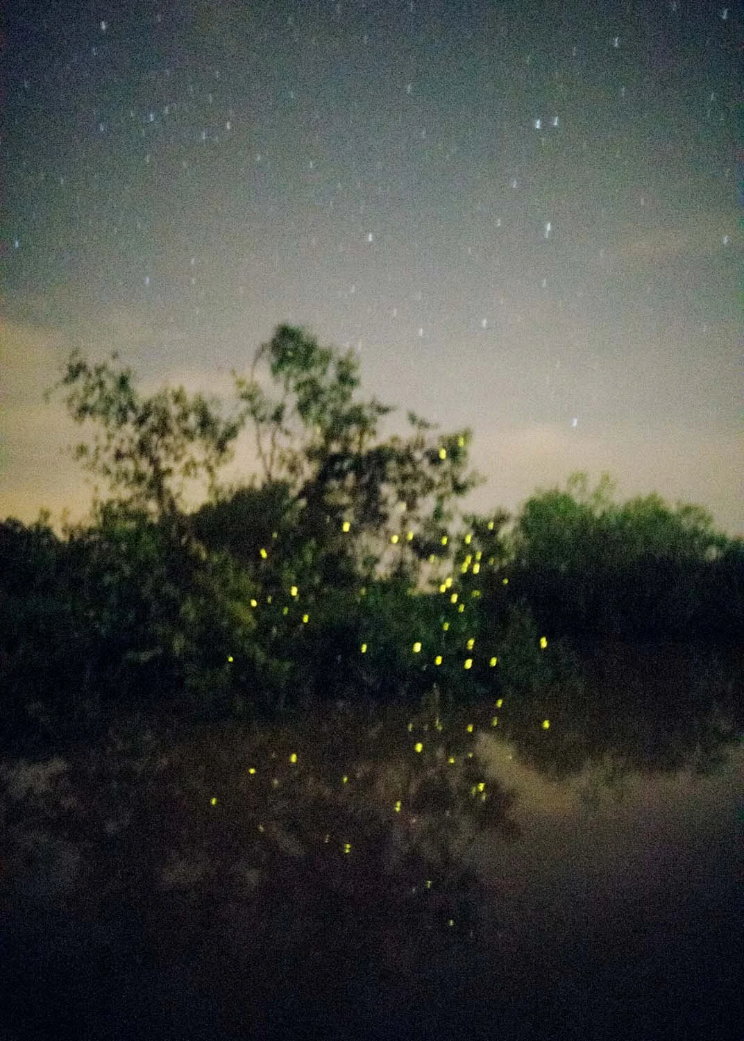 Elijah Gowin, River and Fireflies, Selangor, Malaysia, 2009