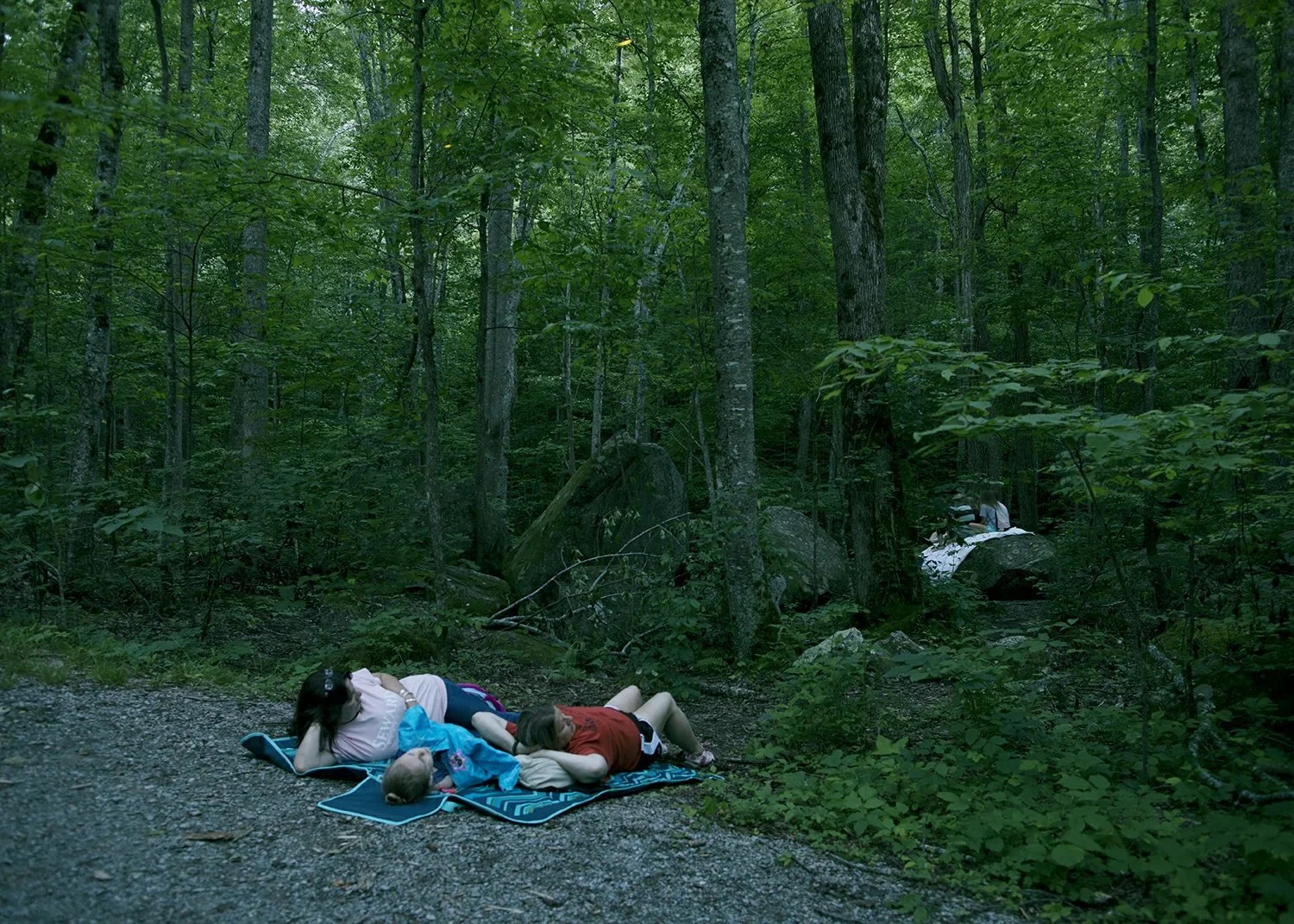 Elijah Gowin, Waiting for Fireflies, Elkmont, Tennessee