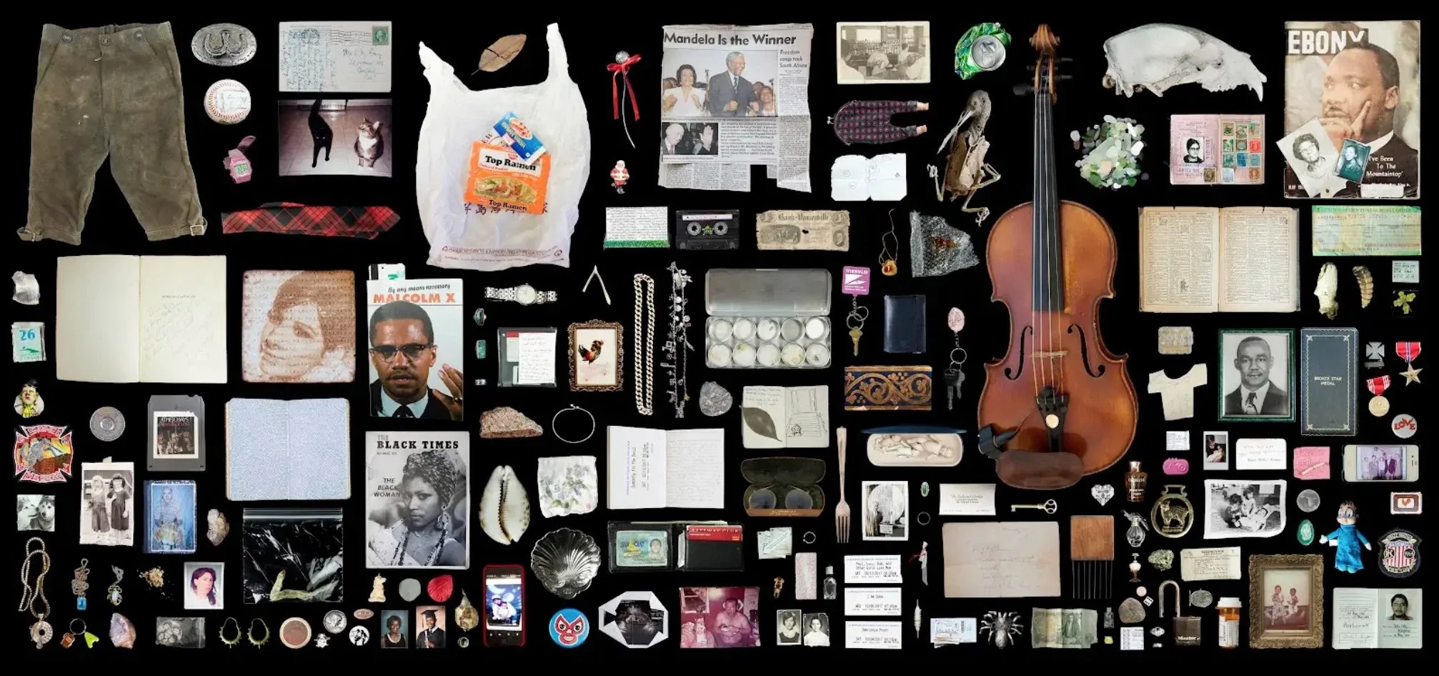 Kija Lucas - The Museum of Sentimental Taxonomy Vitrine No. 17, 2014 - 2025