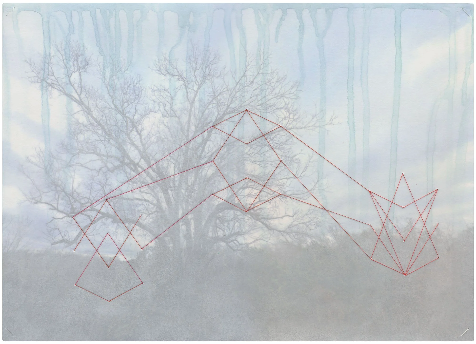 Rachel Phillips - Conspiracy - Birds Aren't Real, 2026