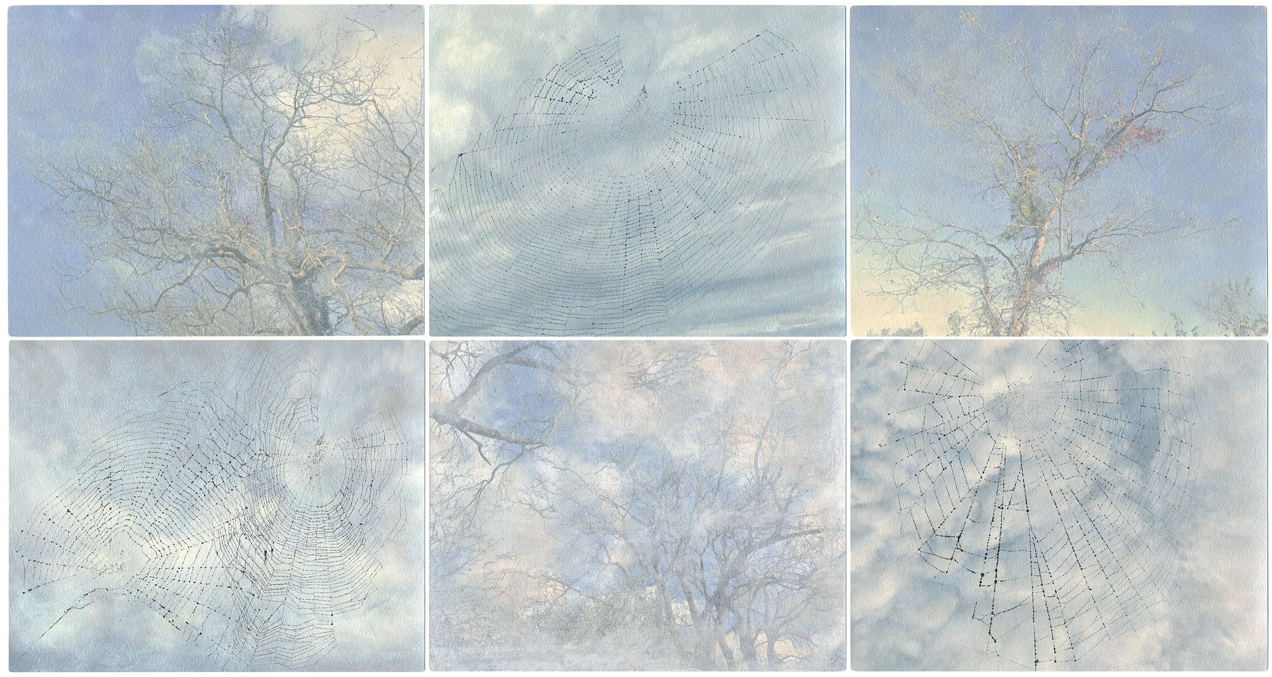 Rachel Phillips - Not a Cloud, Six Panels