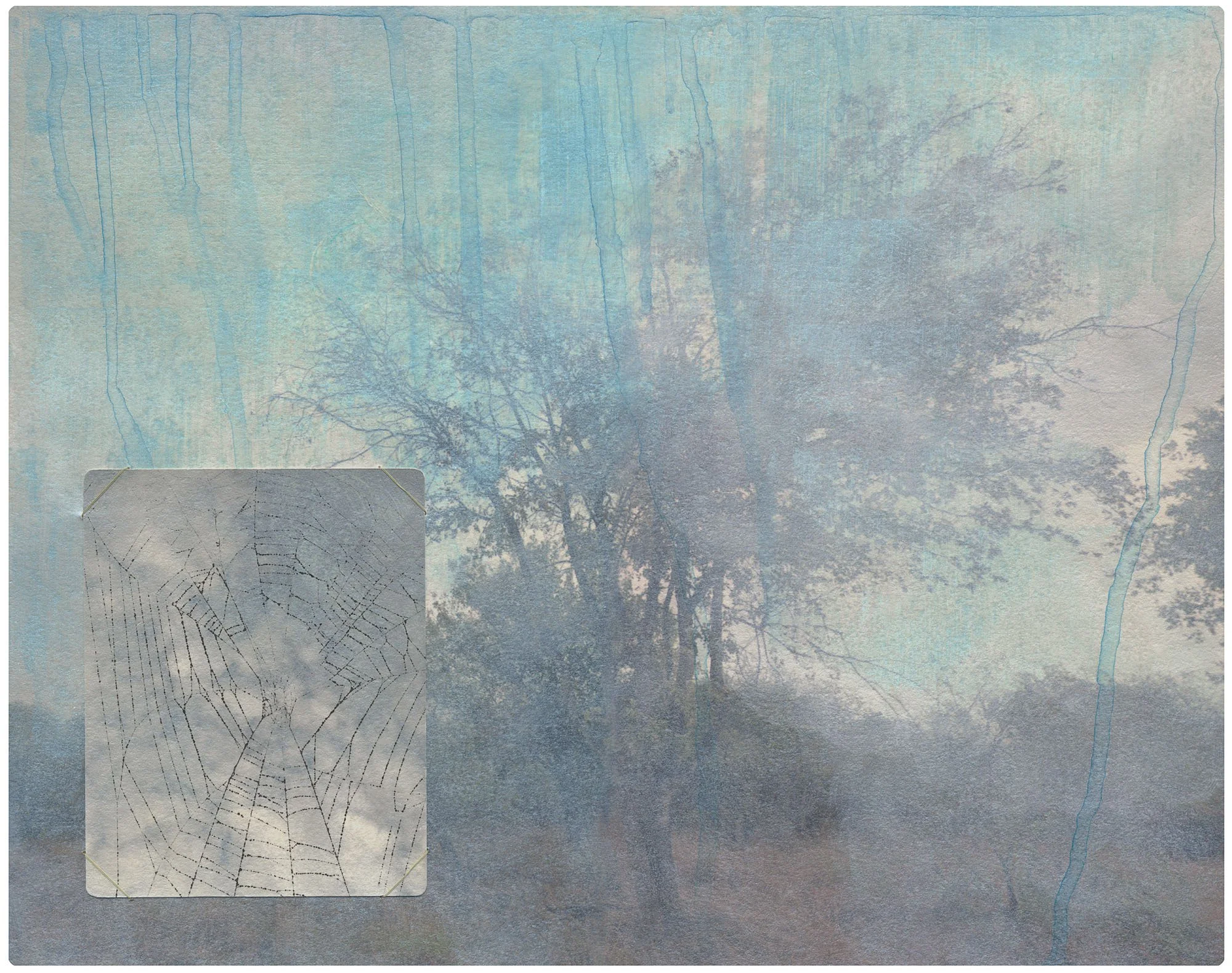 Rachel Phillips - Patched Oak, 2026