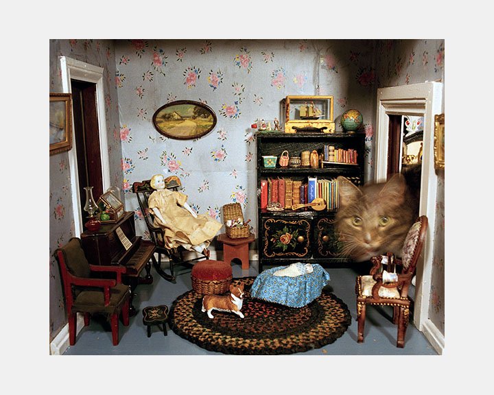 Sage Sohier, Cat in dollhouse, Sandwich, NH, 2004 — PhotoAlliance