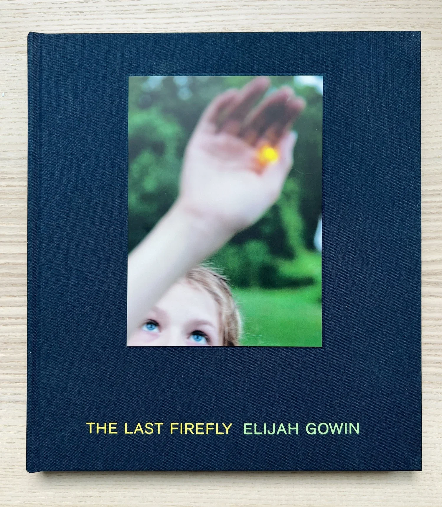 Firefly_cover.webp