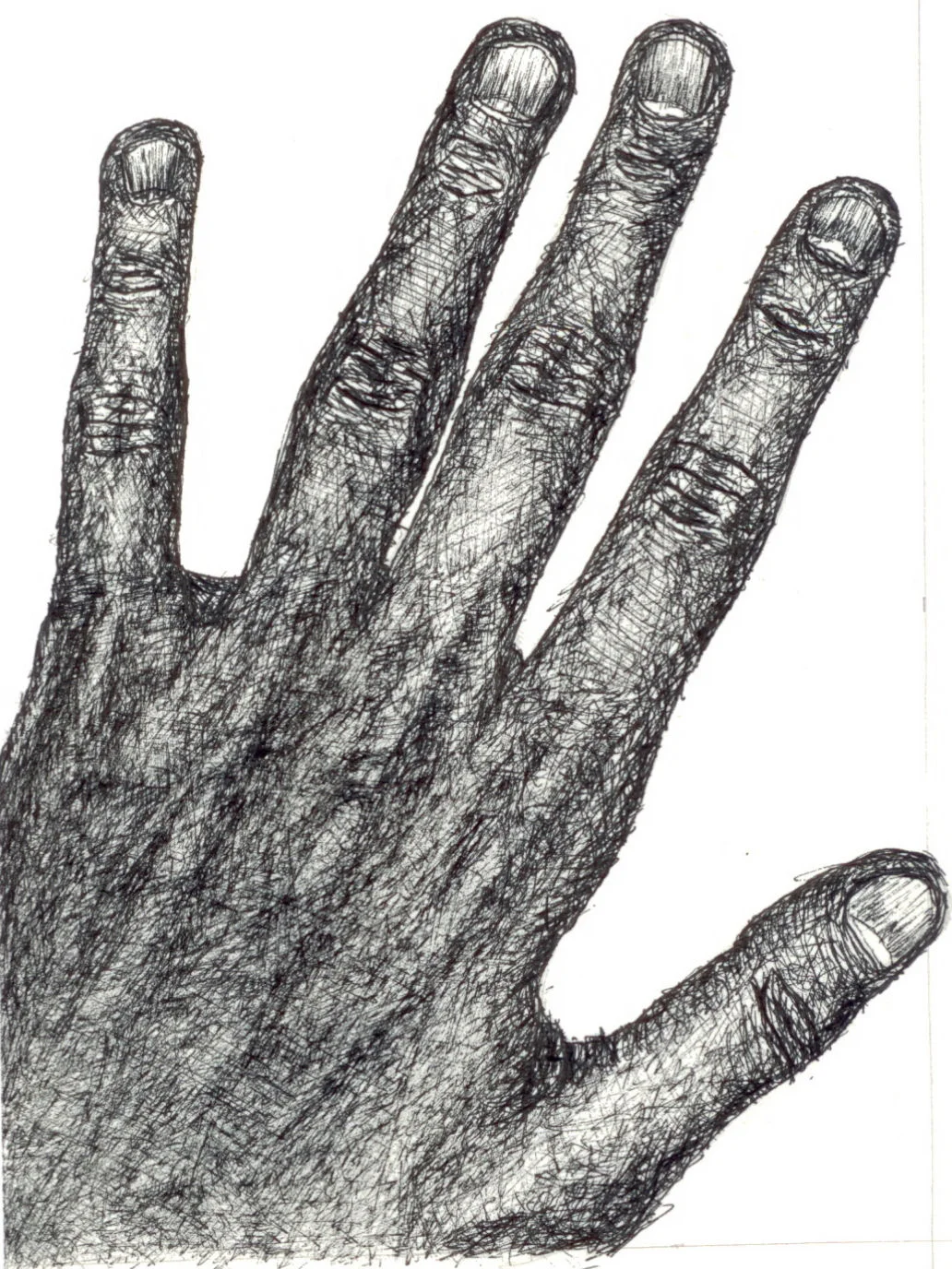 awesome pen and ink hand.jpg