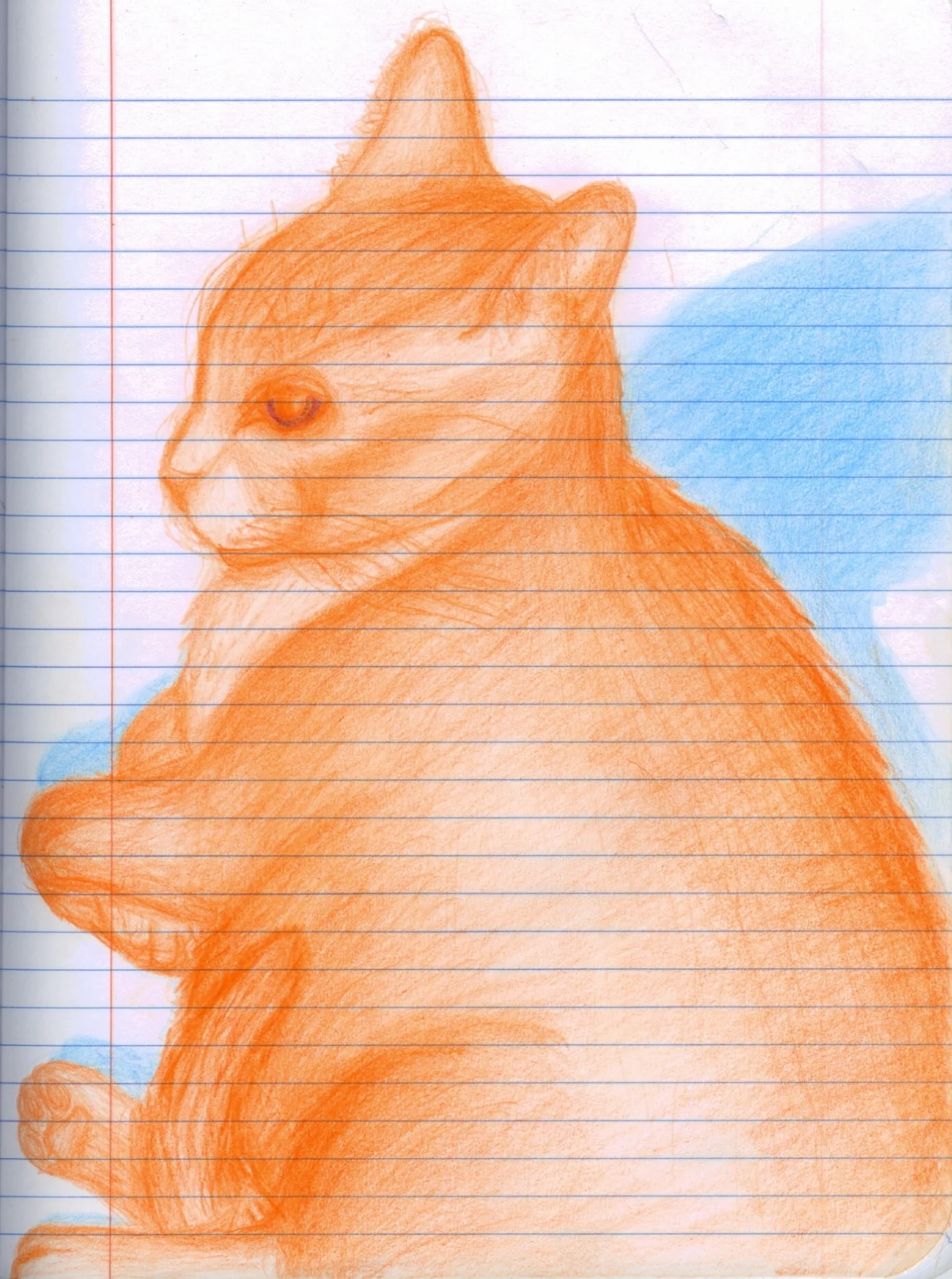 orange piggy7.jpg