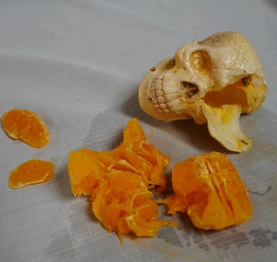 orange skull.JPG