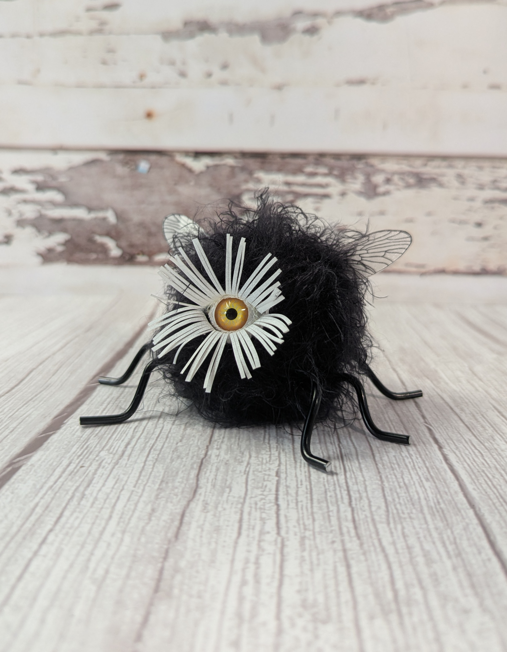 Eye fly.png