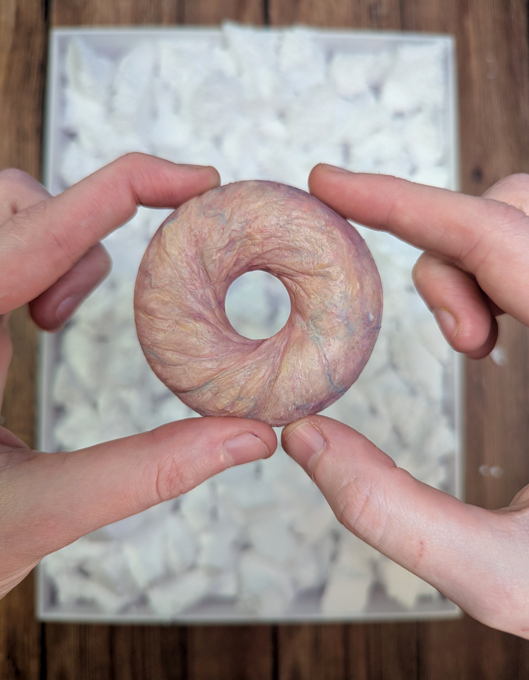 Fleshnut in 2 hand s.png