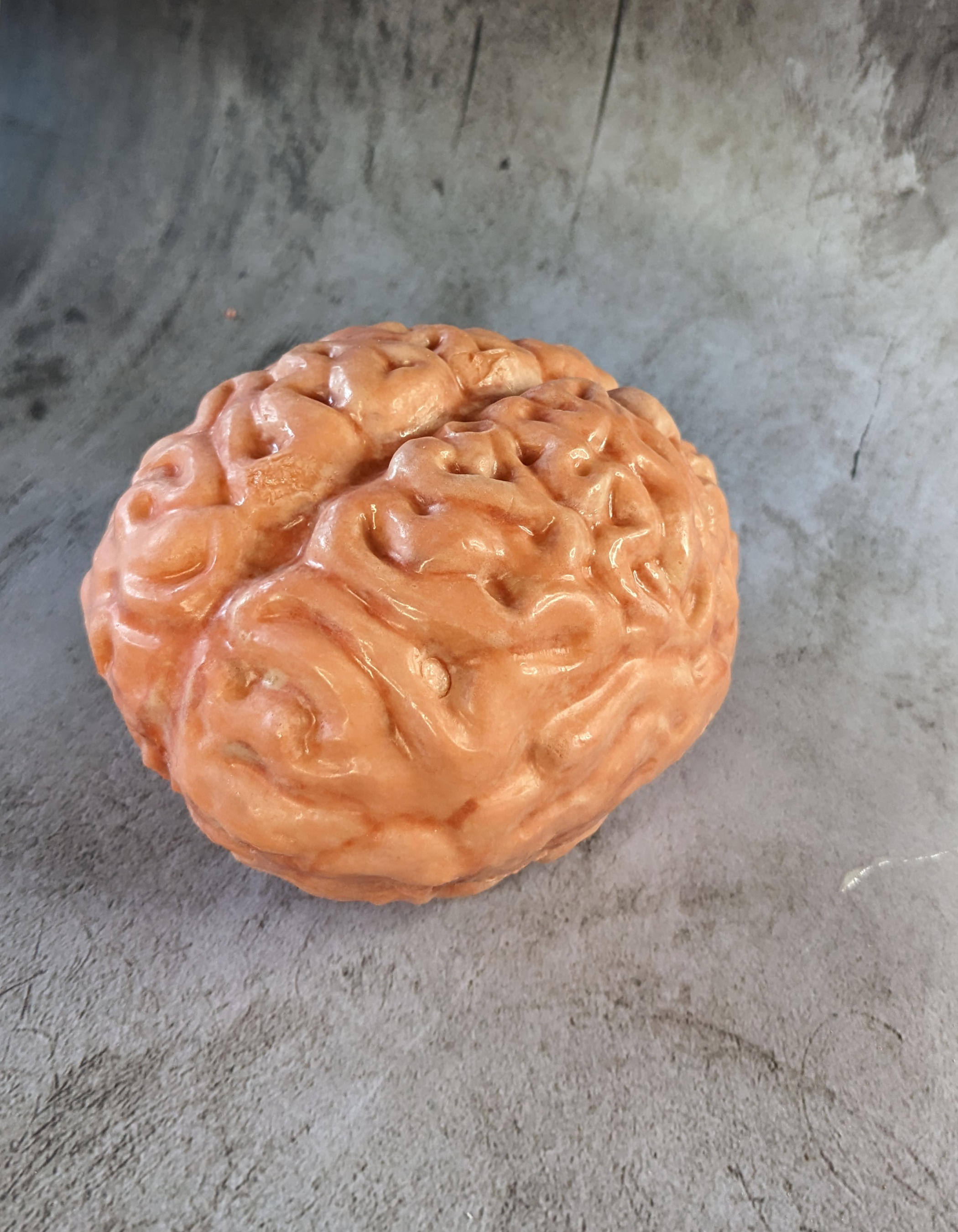 brain.png