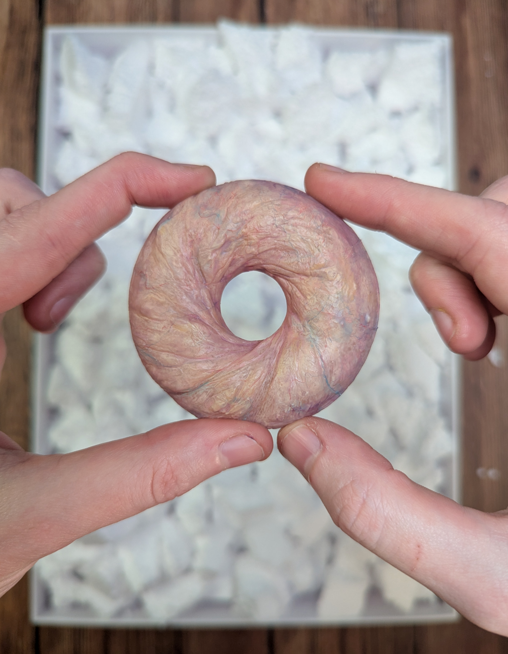 fleshnut.png