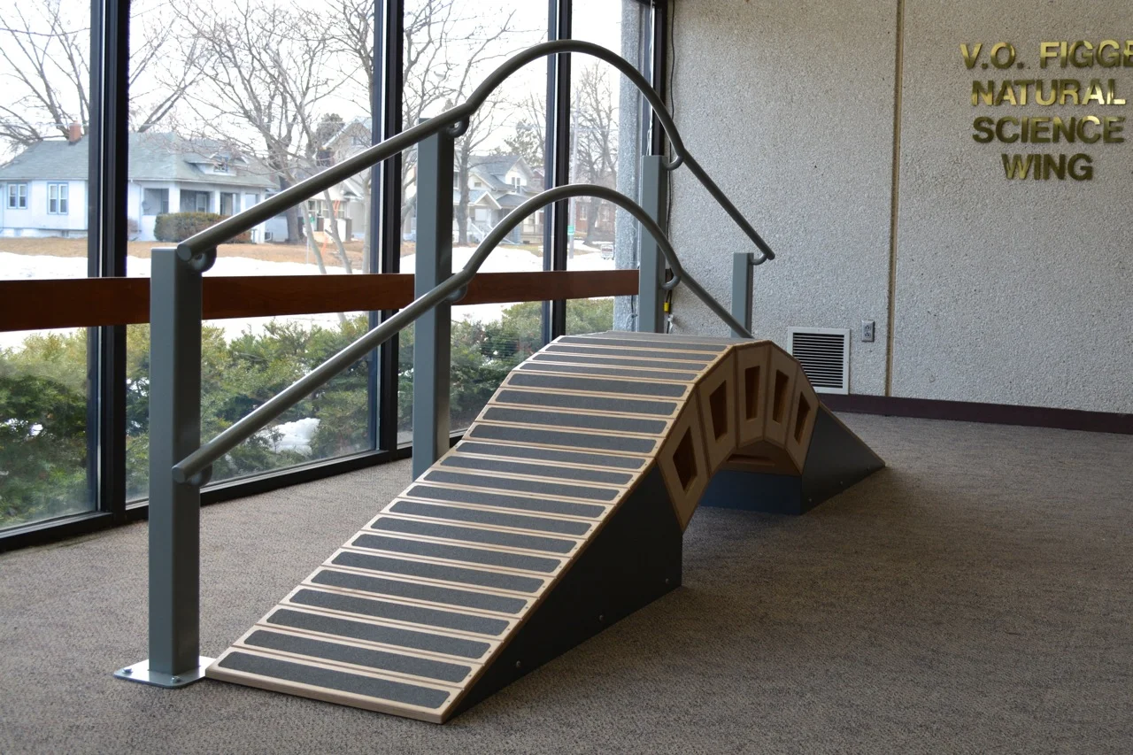 Science Kinetics Arch Bridge 6.jpg