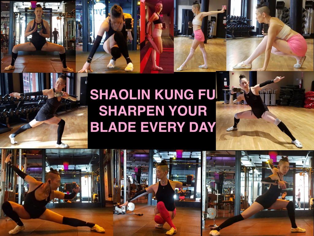 Clockwise from the top left: ma bu/horse stance; crouching tiger, hidden dragon; quad stretch; getting ready to kick; getting ready to pounce; tan lung quan/mantis style; gong bu/bow stance/ xie bu/resting stance; pu bu/flat stance; ca bu/crossed stance