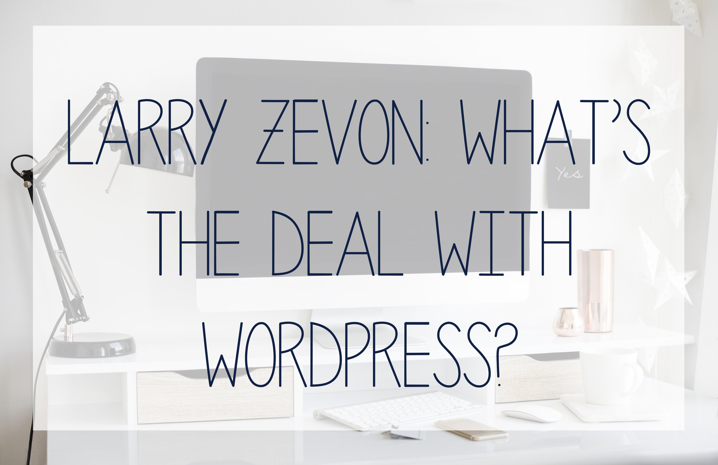 And in-depth review of wordpress websites and when you might need one for your business.