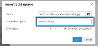 Alt Text Tags - Hub Digital Marketing