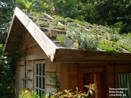cottage green roof.jpg