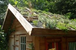 cottage green roof.jpg