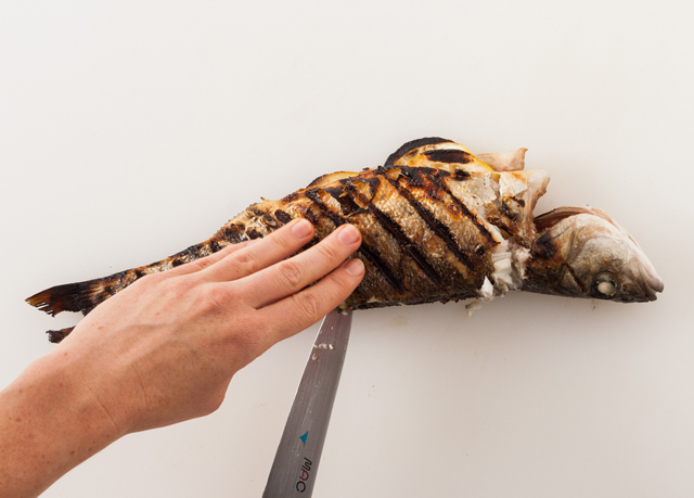 Run a sharp knife along the head, spine and tail of the fish to carve out the first fillet.