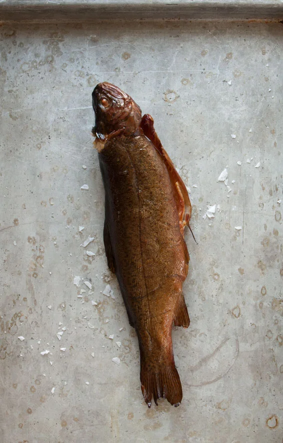 Sprig_of_thyme_Smoked_Trout_Fish.jpg