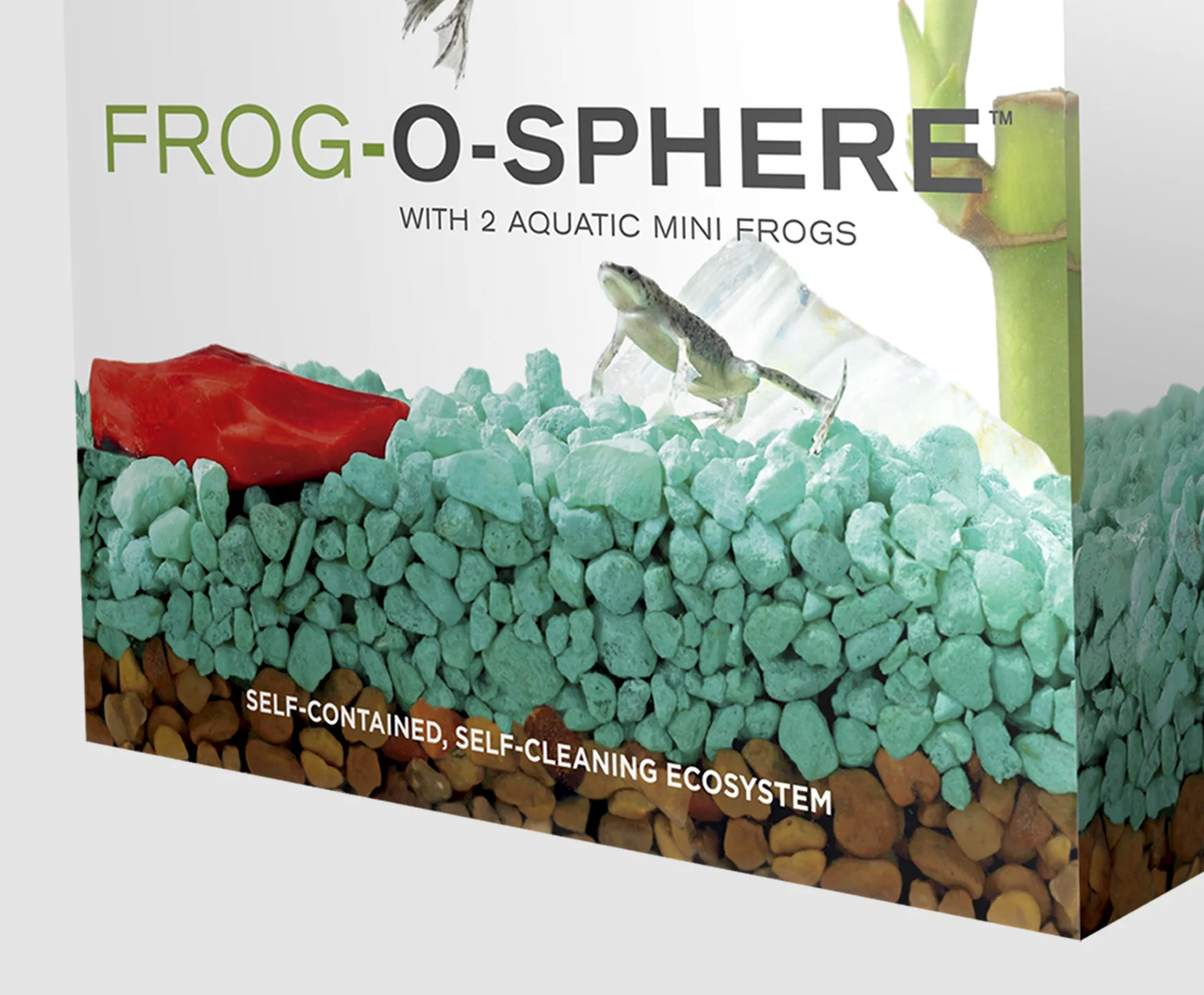 FrogoSphere5.jpg