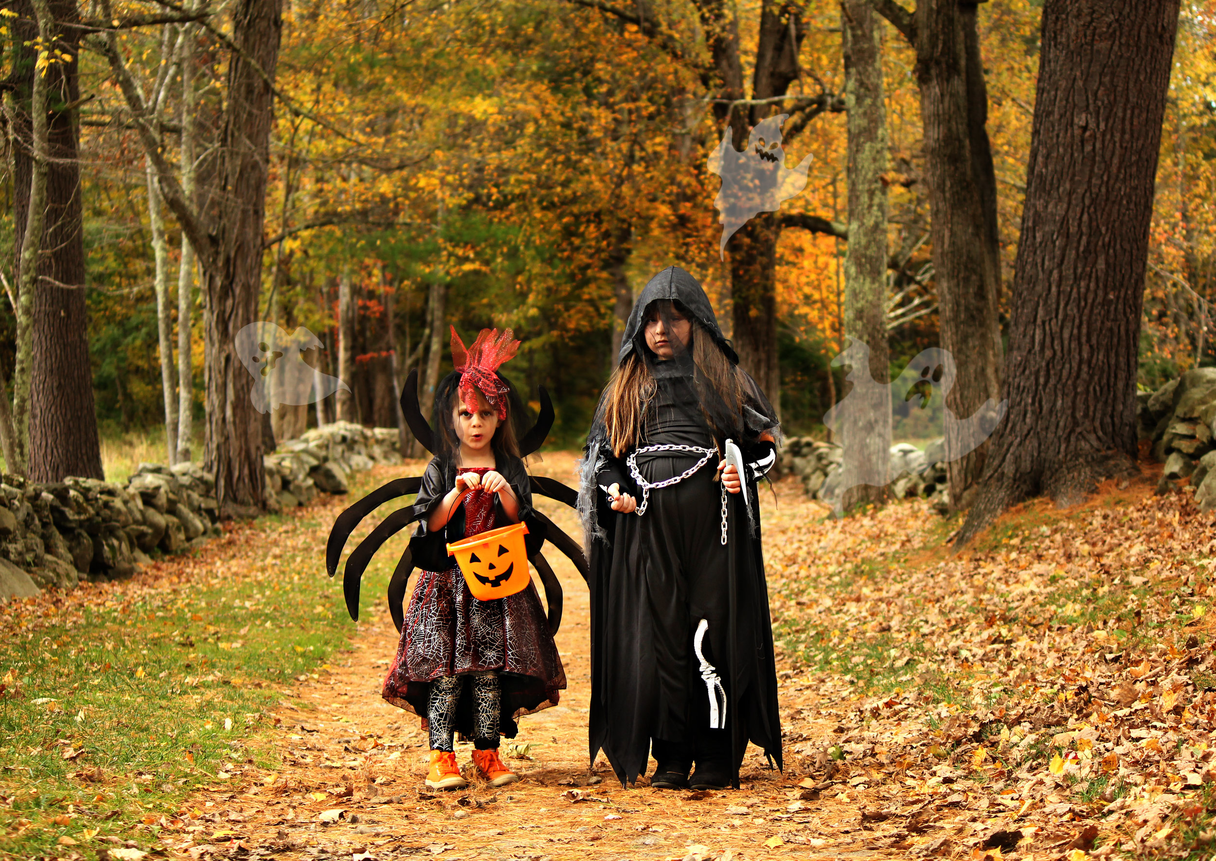 IMG_1438_edit2.jpg