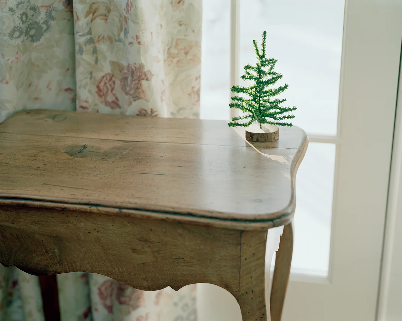 tinytree_16x20_port.jpg