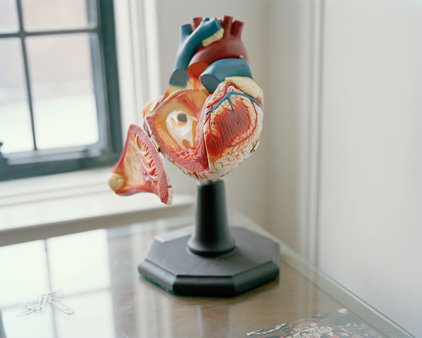 openheart_16x20_port.jpg