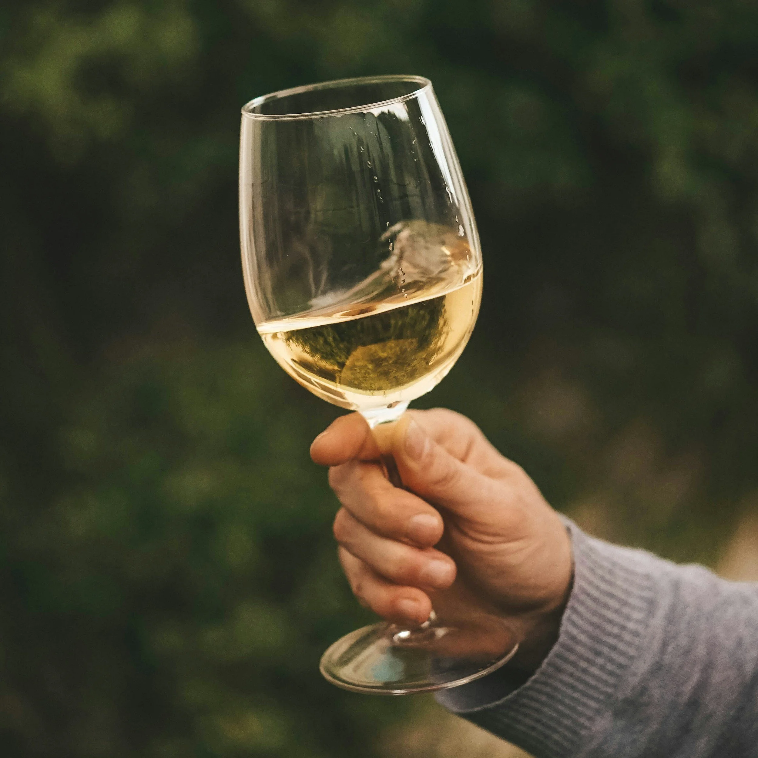 Wine Road: Good Ol' Days - Free Wine Tasting Event