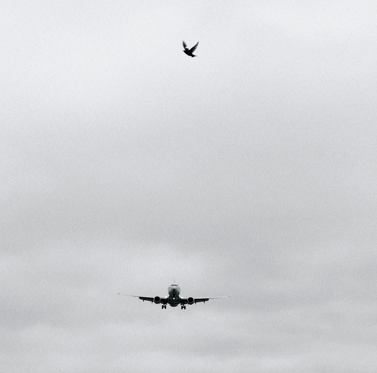 Planespotting