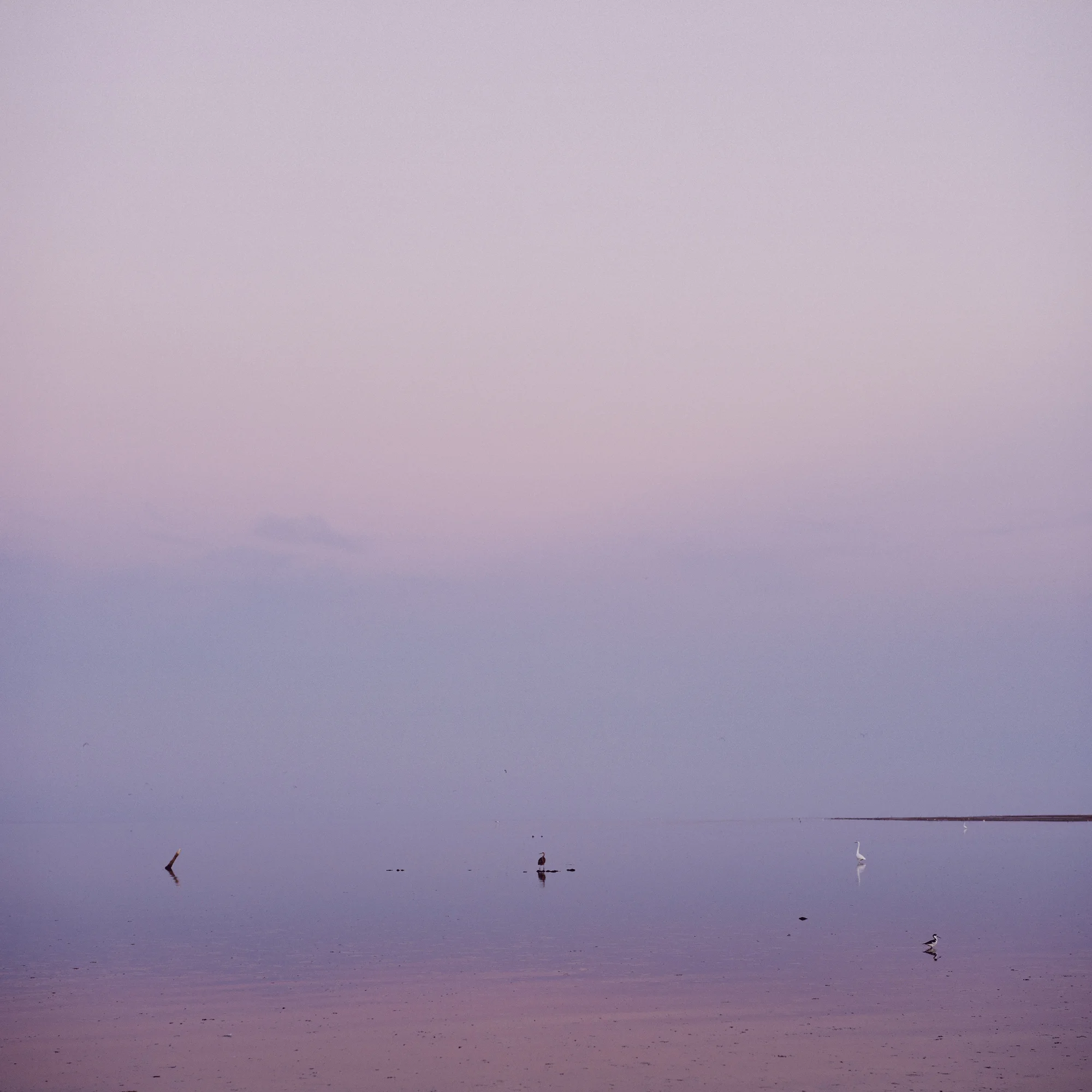 Salton Sea