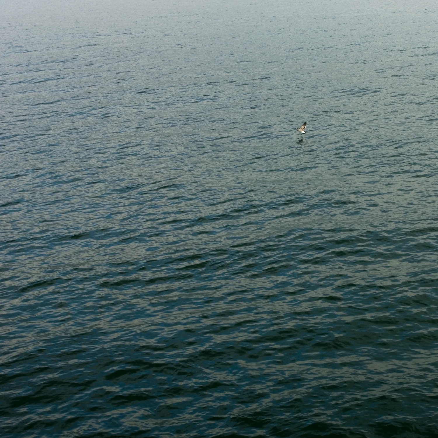 Atlantic