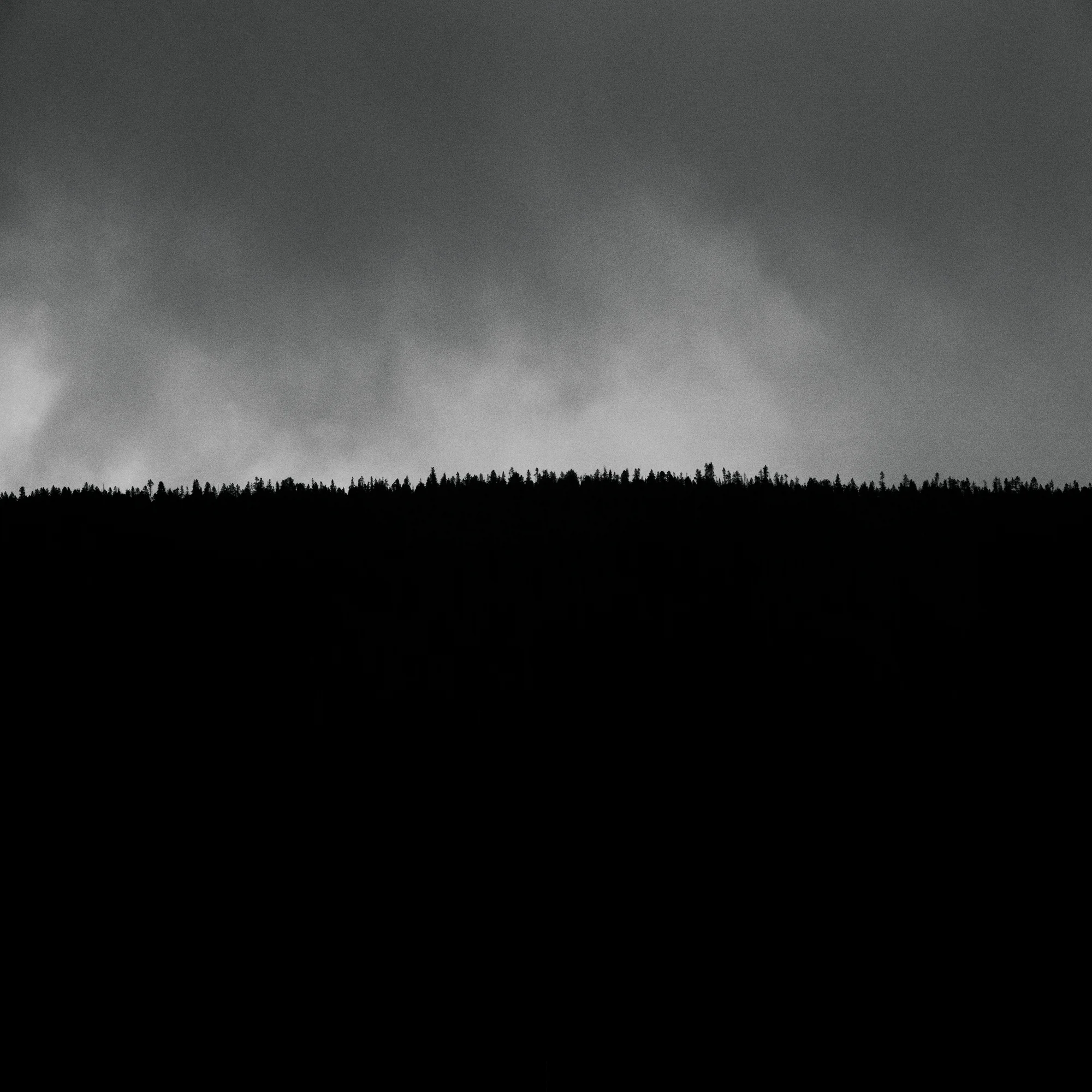 treeline