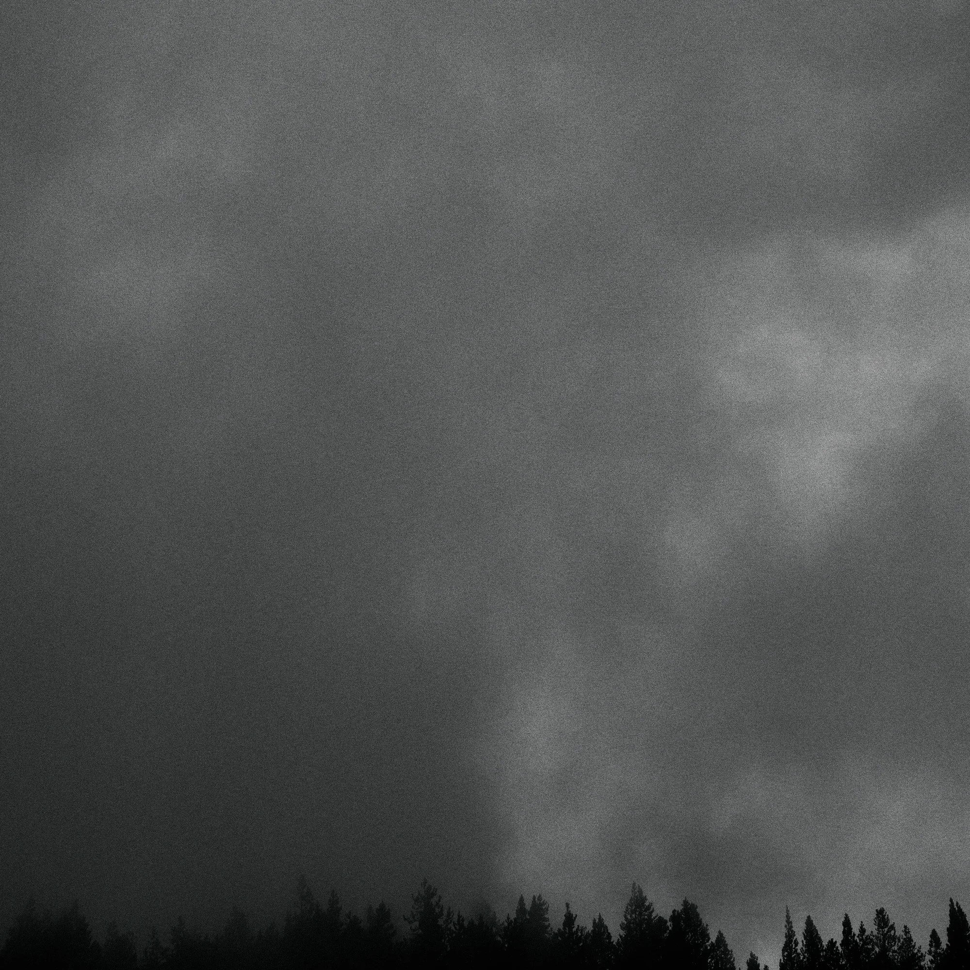 treeline