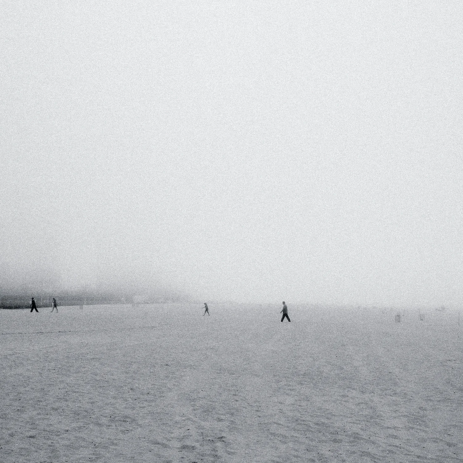 sand and fog