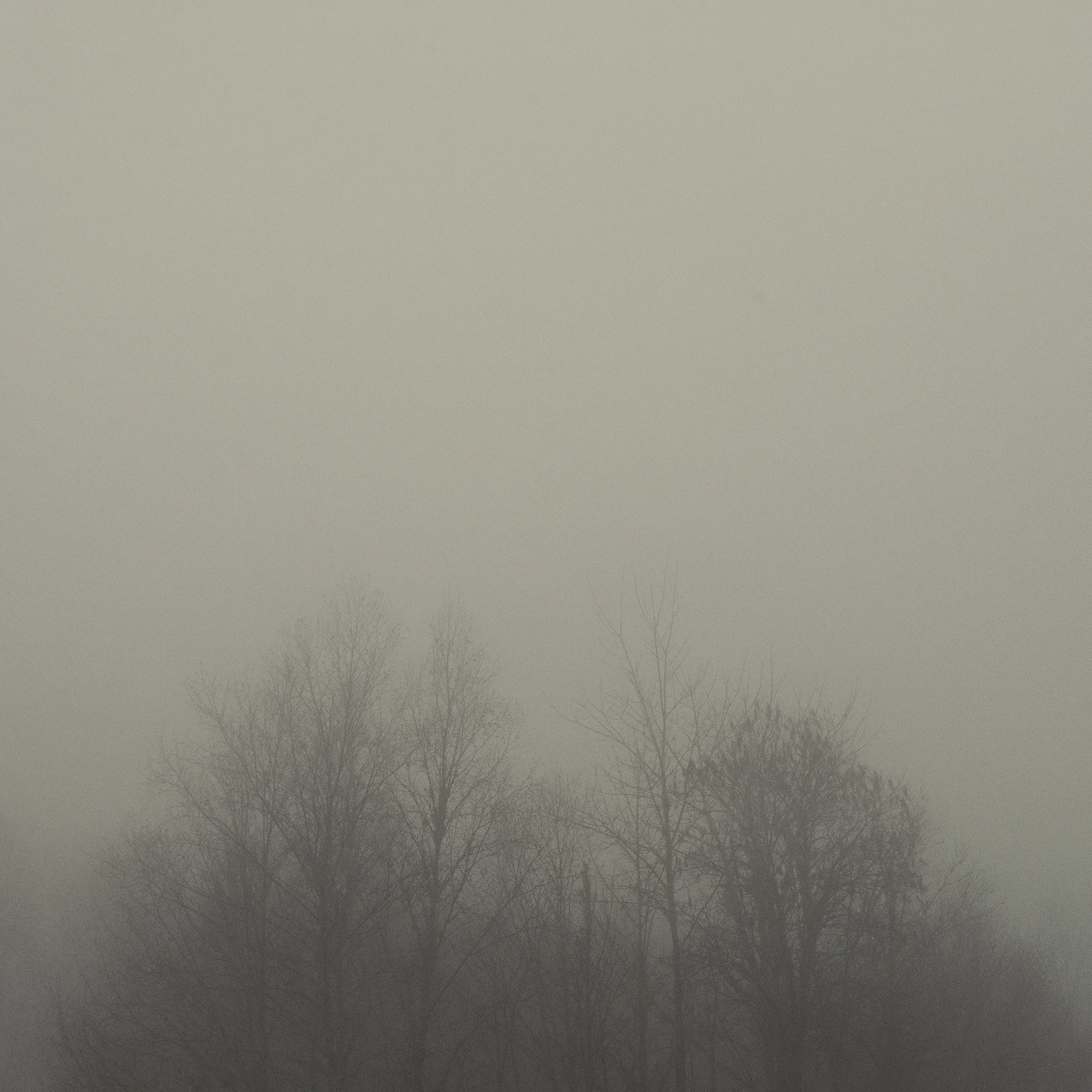 Bleak
