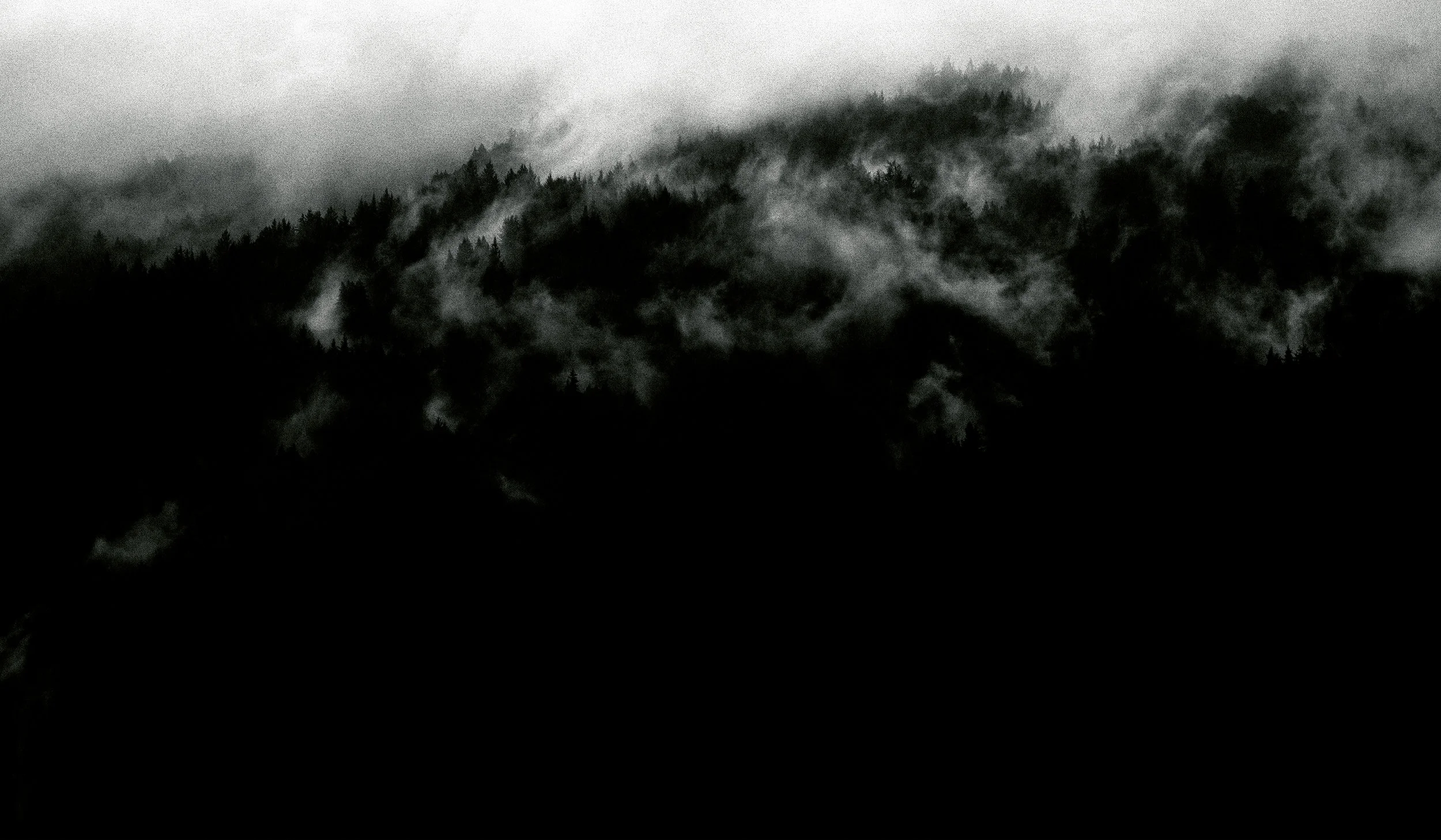 misty mountain