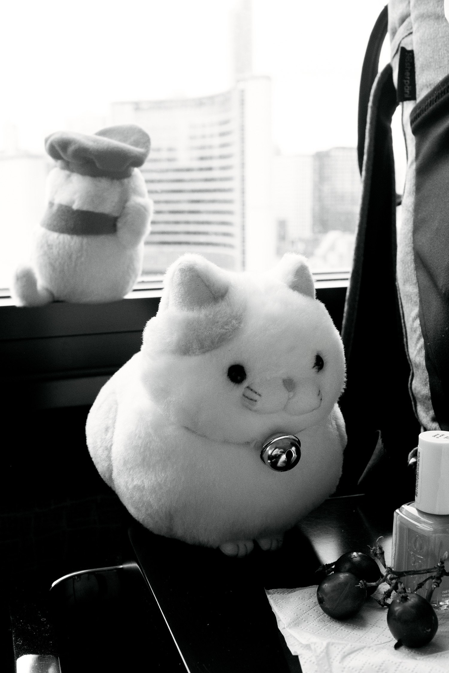 DSCF9125.jpg