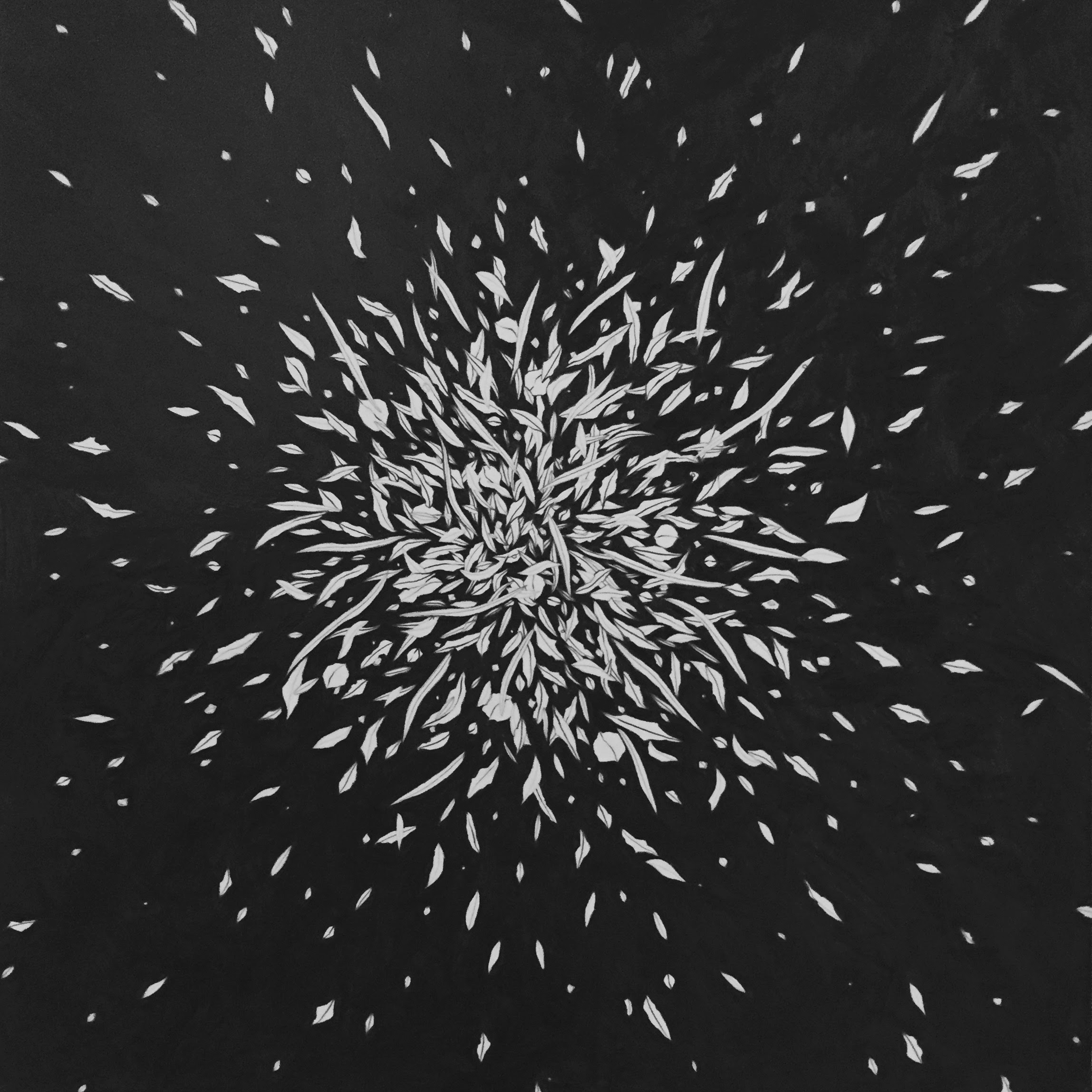 Flare, 12”x12”, Graphite on Paper, 2018