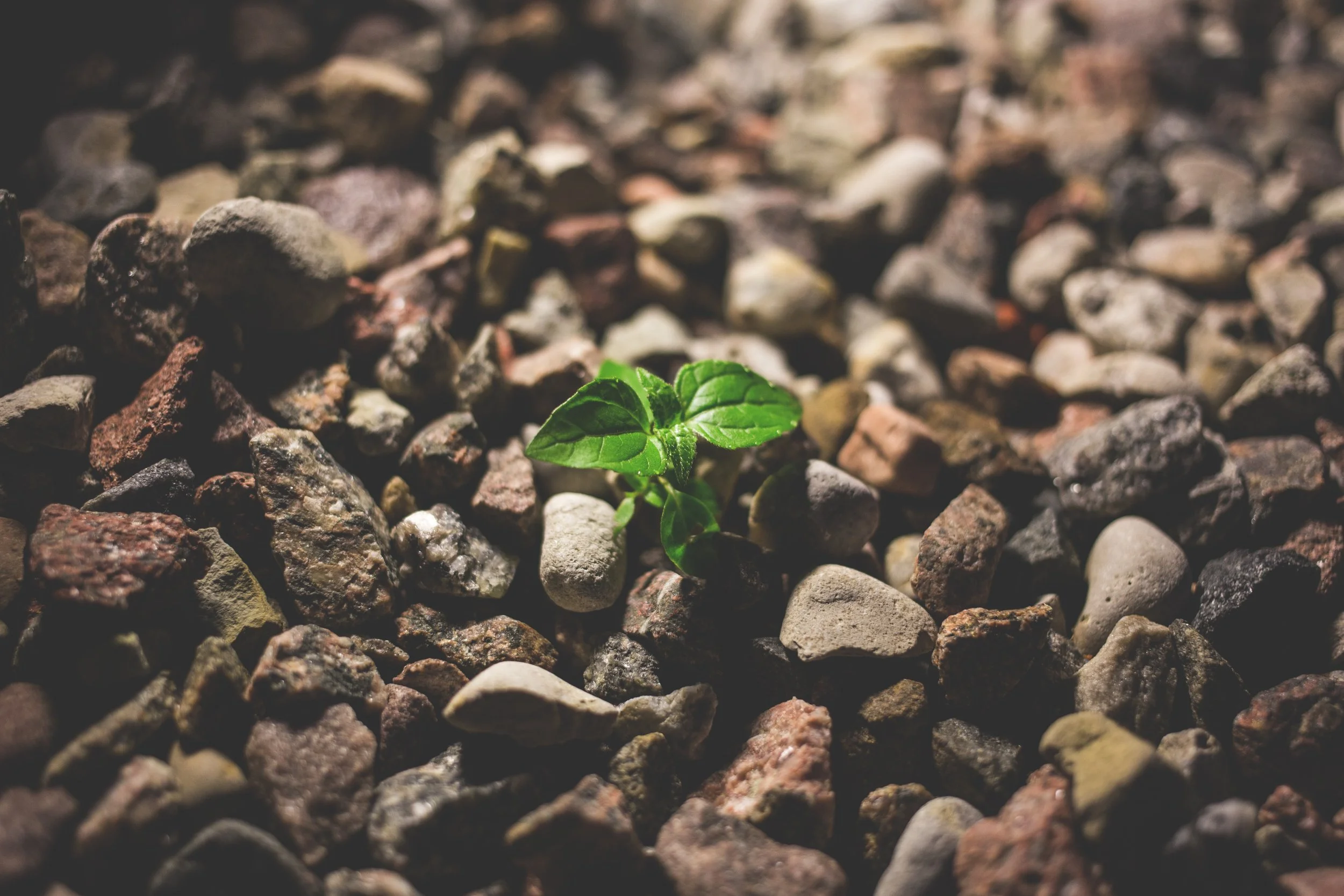 Exploring Discipleship | City Group